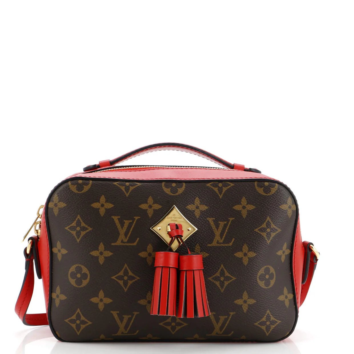Saintonge Handbag Monogram Canvas with Leather - Deep Luxury