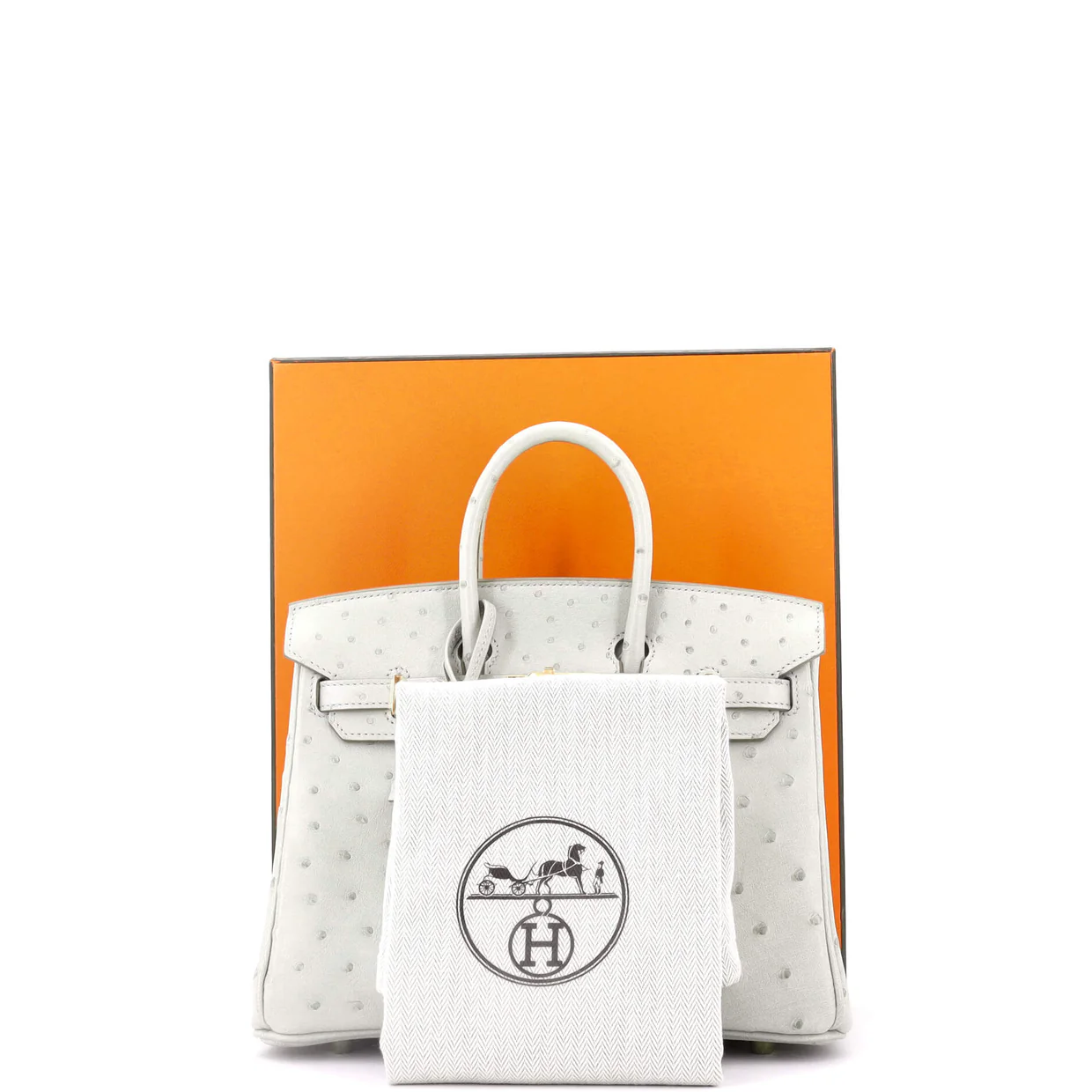 Birkin Handbag Grey Ostrich with Gold Hardware 25 - Deep Luxury