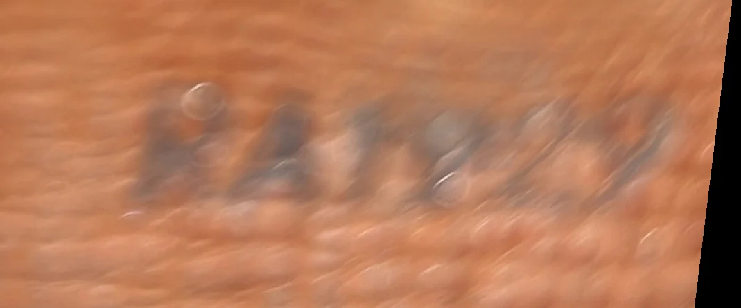 Micro Papillon Bag Charm Monogram Canvas - Deep Luxury