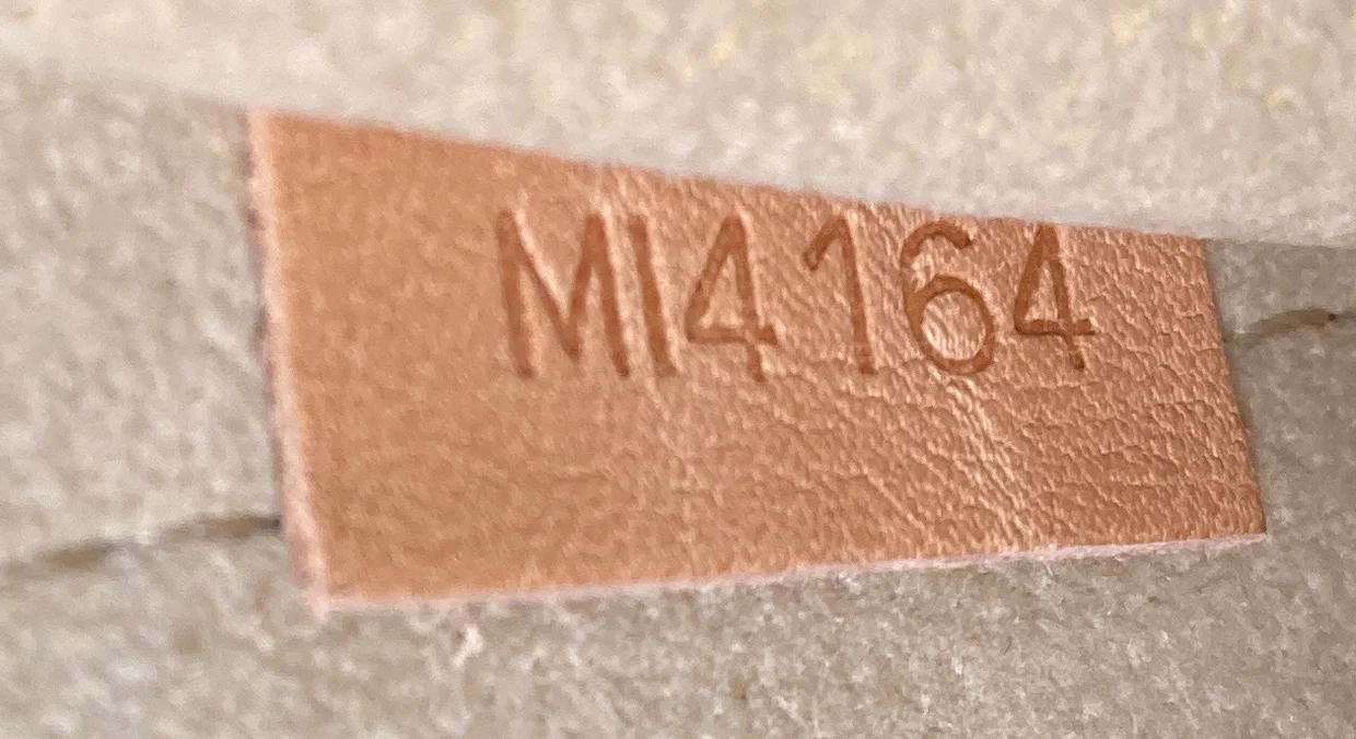 Cindy Sherman Camera Messenger Bag Patch Embellished Monogram Canvas - Deep Luxury