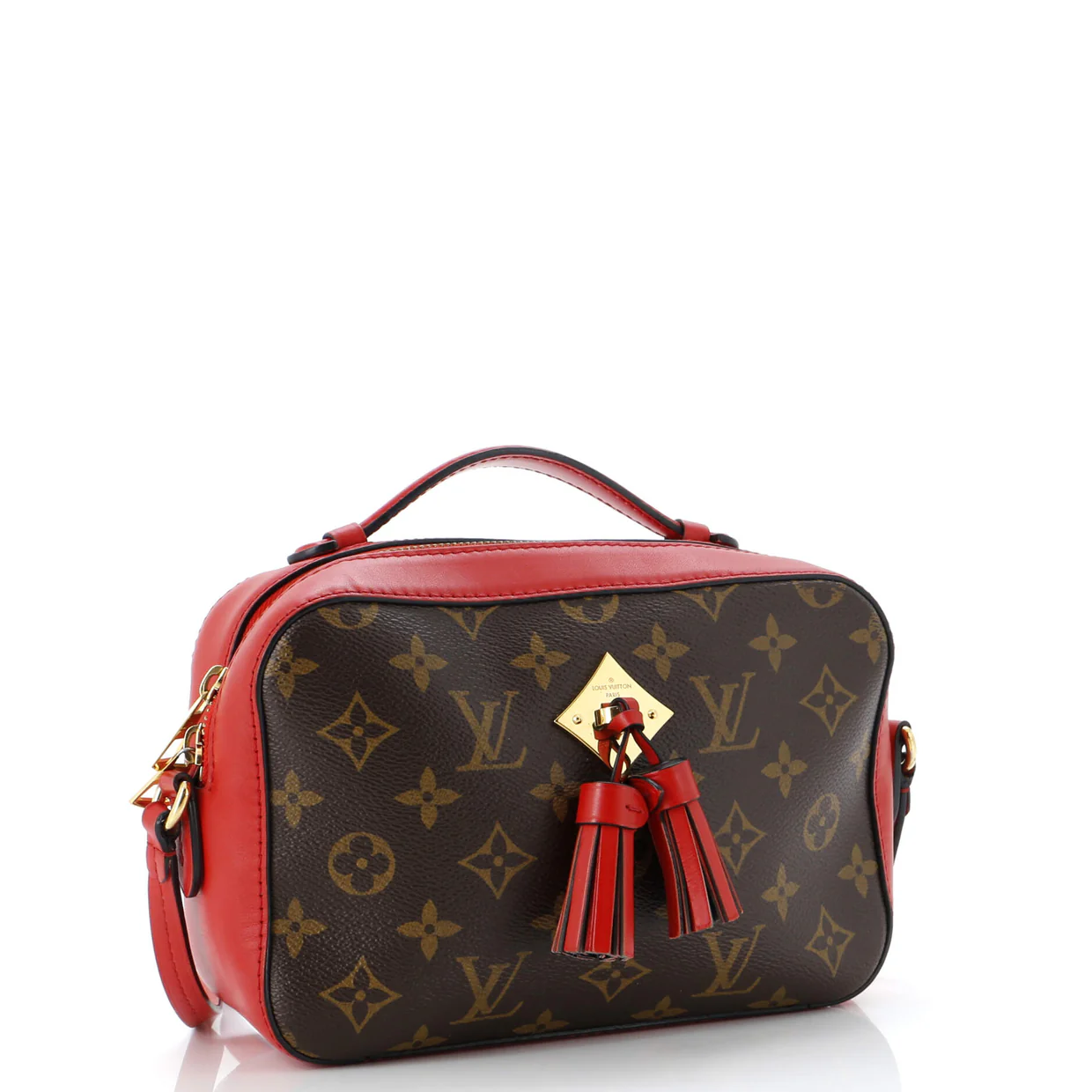 Saintonge Handbag Monogram Canvas with Leather - Deep Luxury