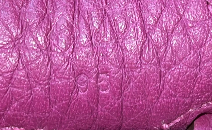 Evelyne Bag Gen I Clemence GM - Deep Luxury