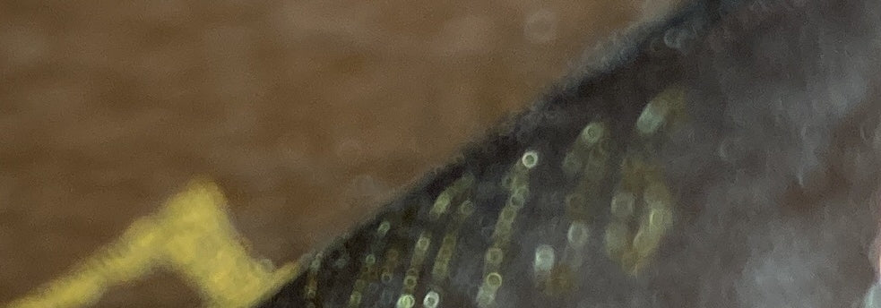 Pallas Wallet Monogram Canvas and Calfskin - Deep Luxury