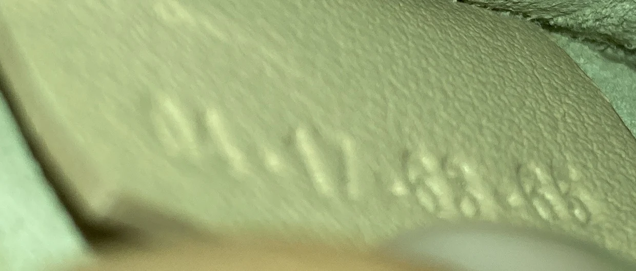 Nile Crossbody Bag Leather Medium - Deep Luxury