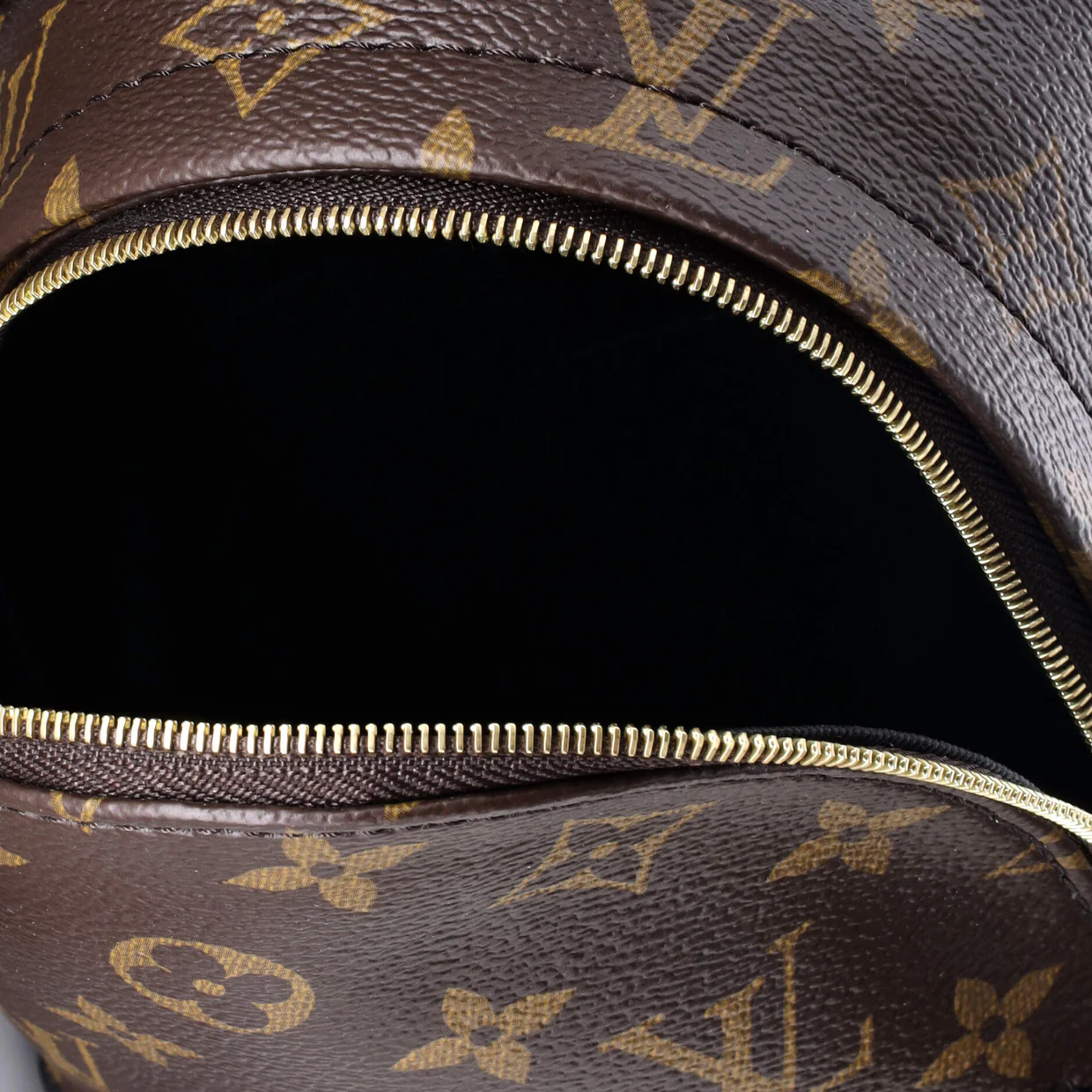 Palm Springs Backpack Monogram Canvas Mini - Deep Luxury