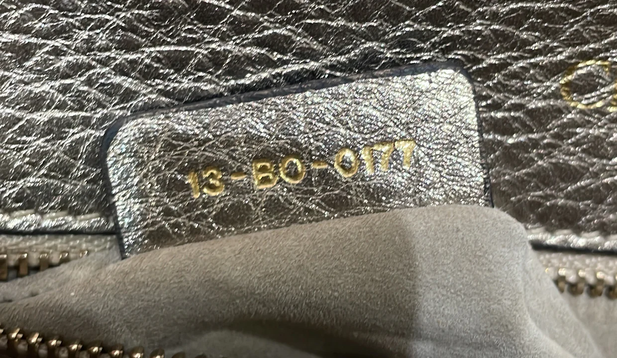 Diorama Flap Bag Grained Calfskin Small - Deep Luxury