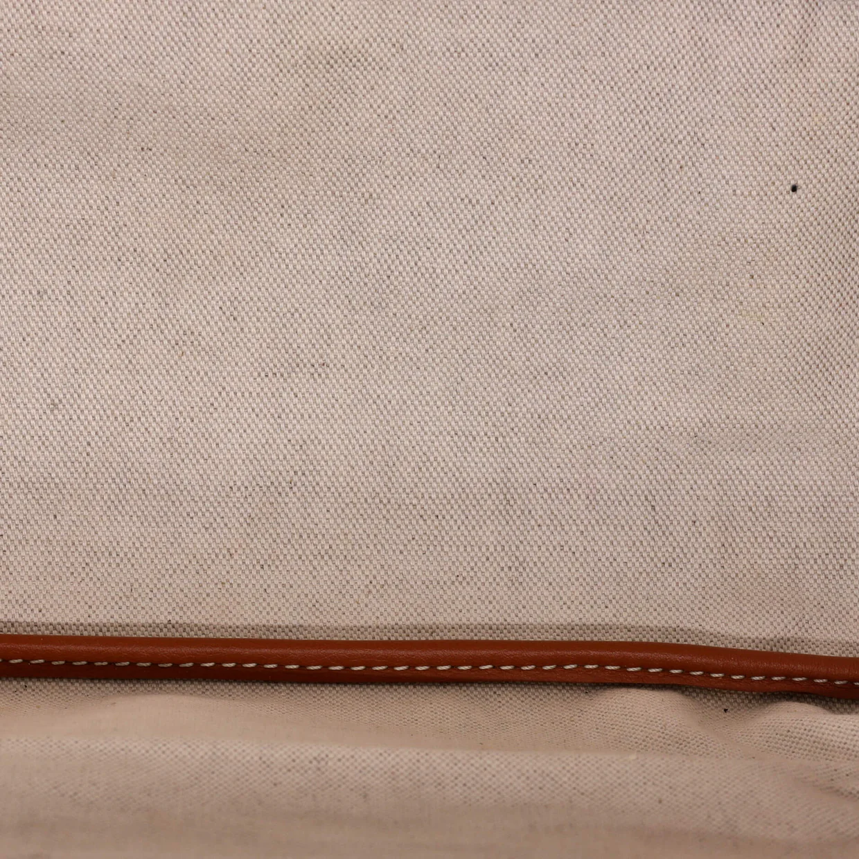 Saint Louis Tote Coated Canvas PM - Deep Luxury