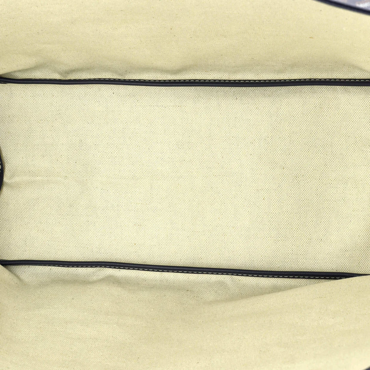 Saint Louis Tote Coated Canvas PM - Deep Luxury