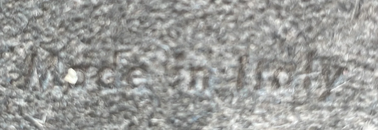 Belt Bag Textured Leather Nano - Deep Luxury