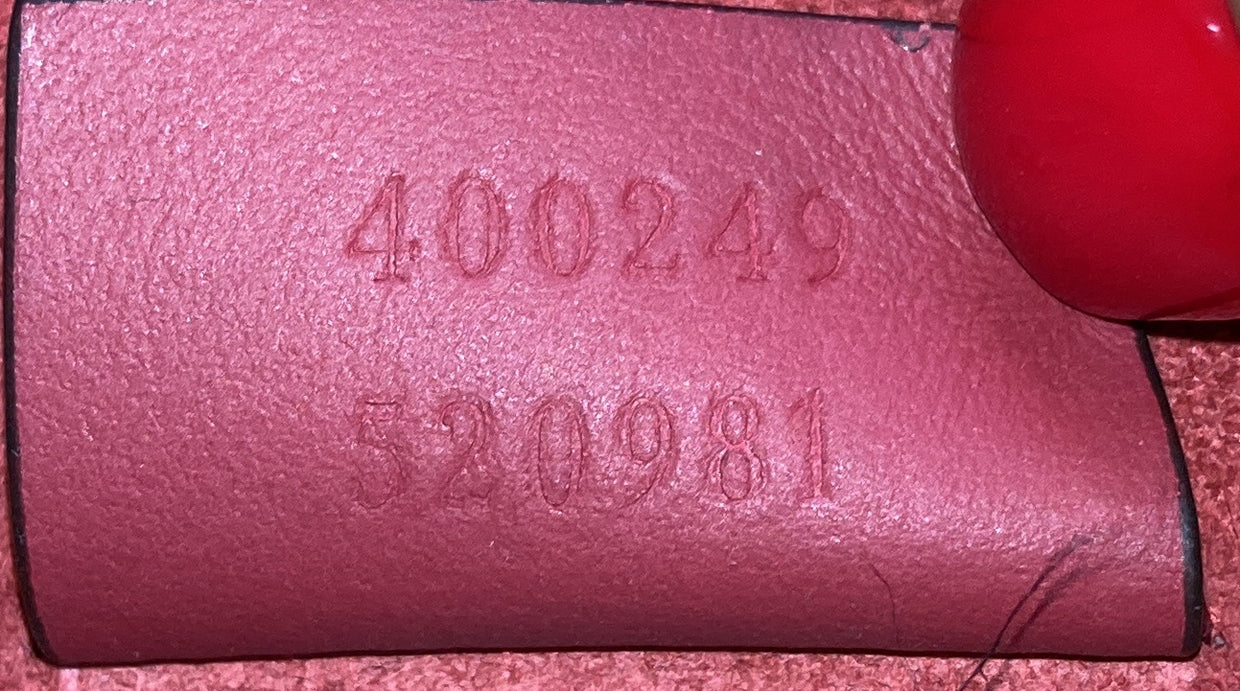 Dionysus Bag GG Coated Canvas Small - Deep Luxury