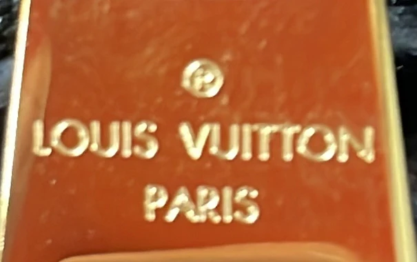 Trianon Handbag Monogram Empreinte Giant PM - Deep Luxury