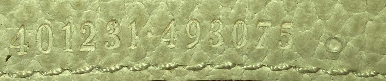 Dionysus Bag GG Coated Canvas Medium - Deep Luxury