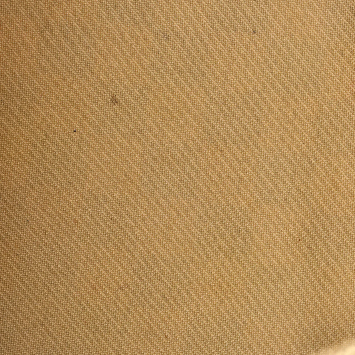 Speedy Handbag Damier 30 - Deep Luxury