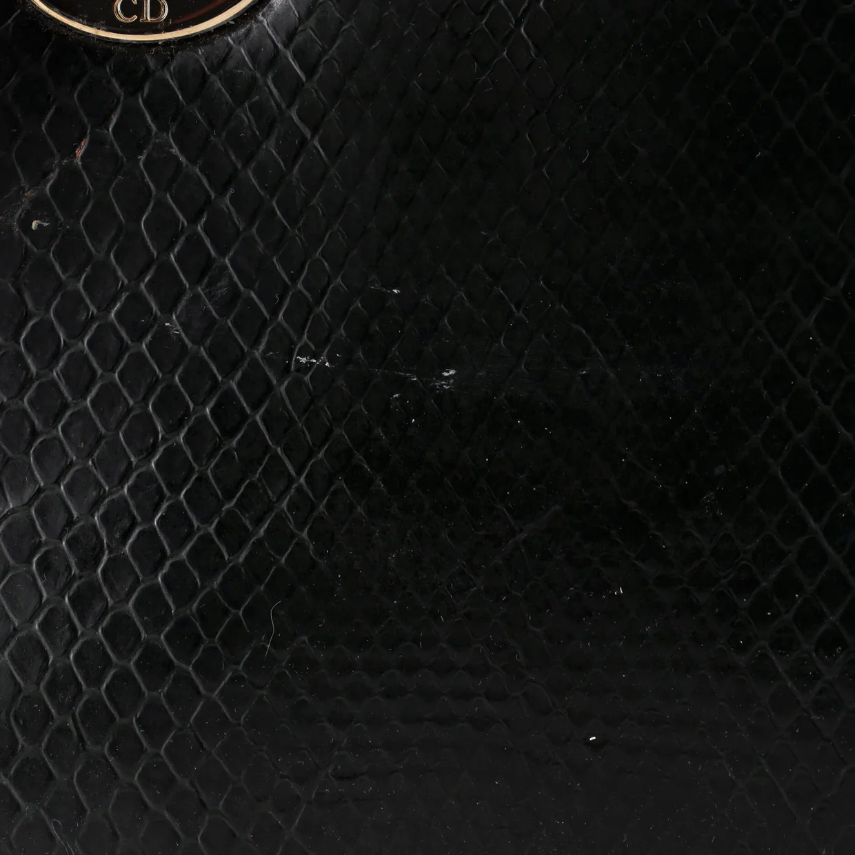 Lady Dior Chain Bag Python Mini - Deep Luxury