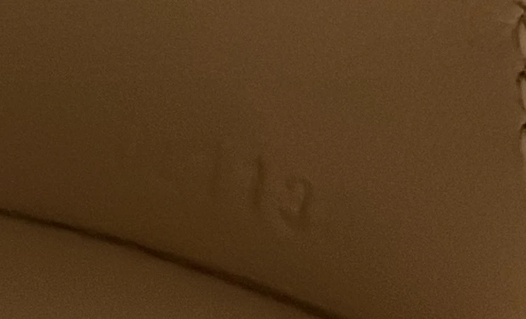 Petite Boite Chapeau Bag Calfskin - Deep Luxury