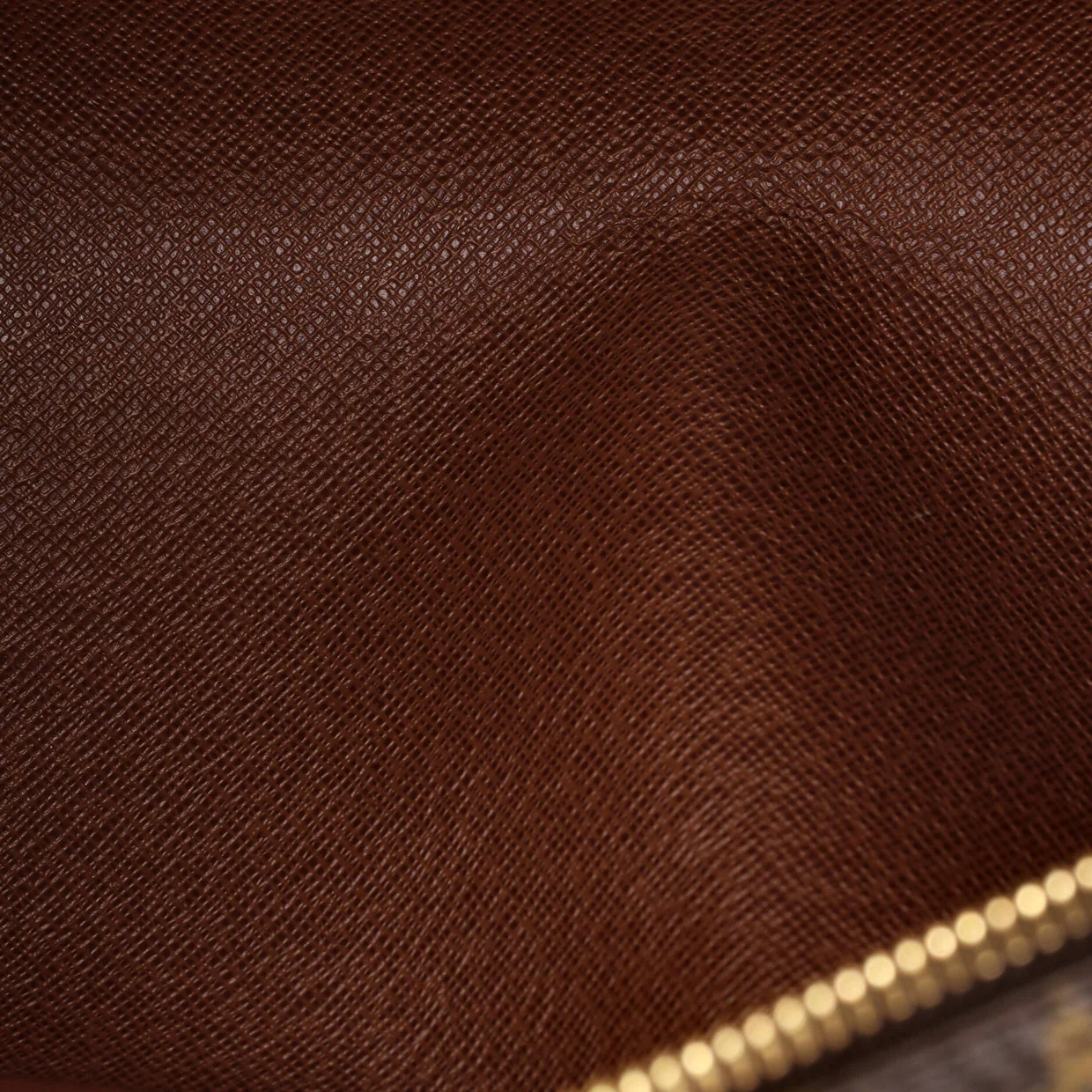 Papillon Handbag Monogram Canvas 30 - Deep Luxury