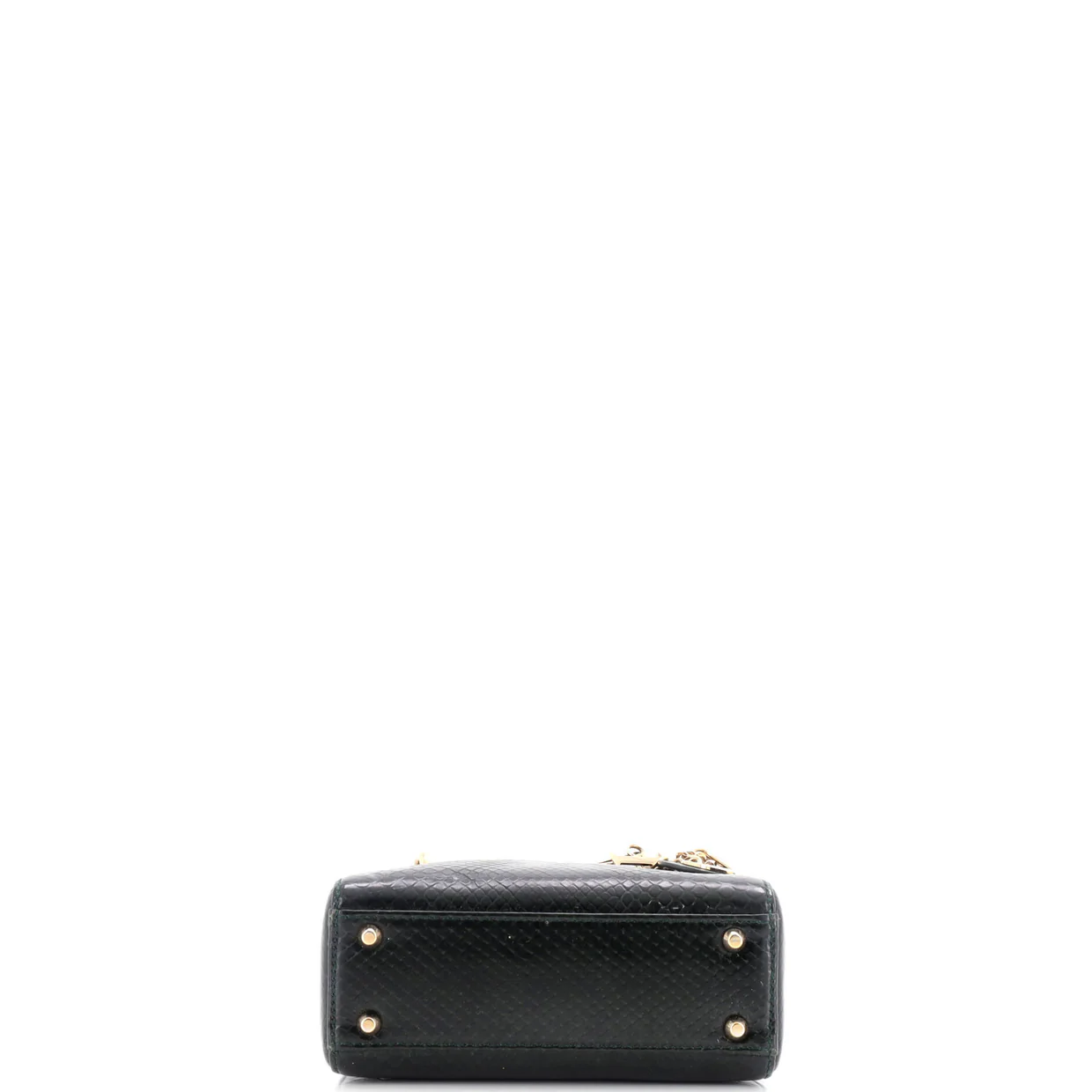 Lady Dior Chain Bag Python Mini - Deep Luxury