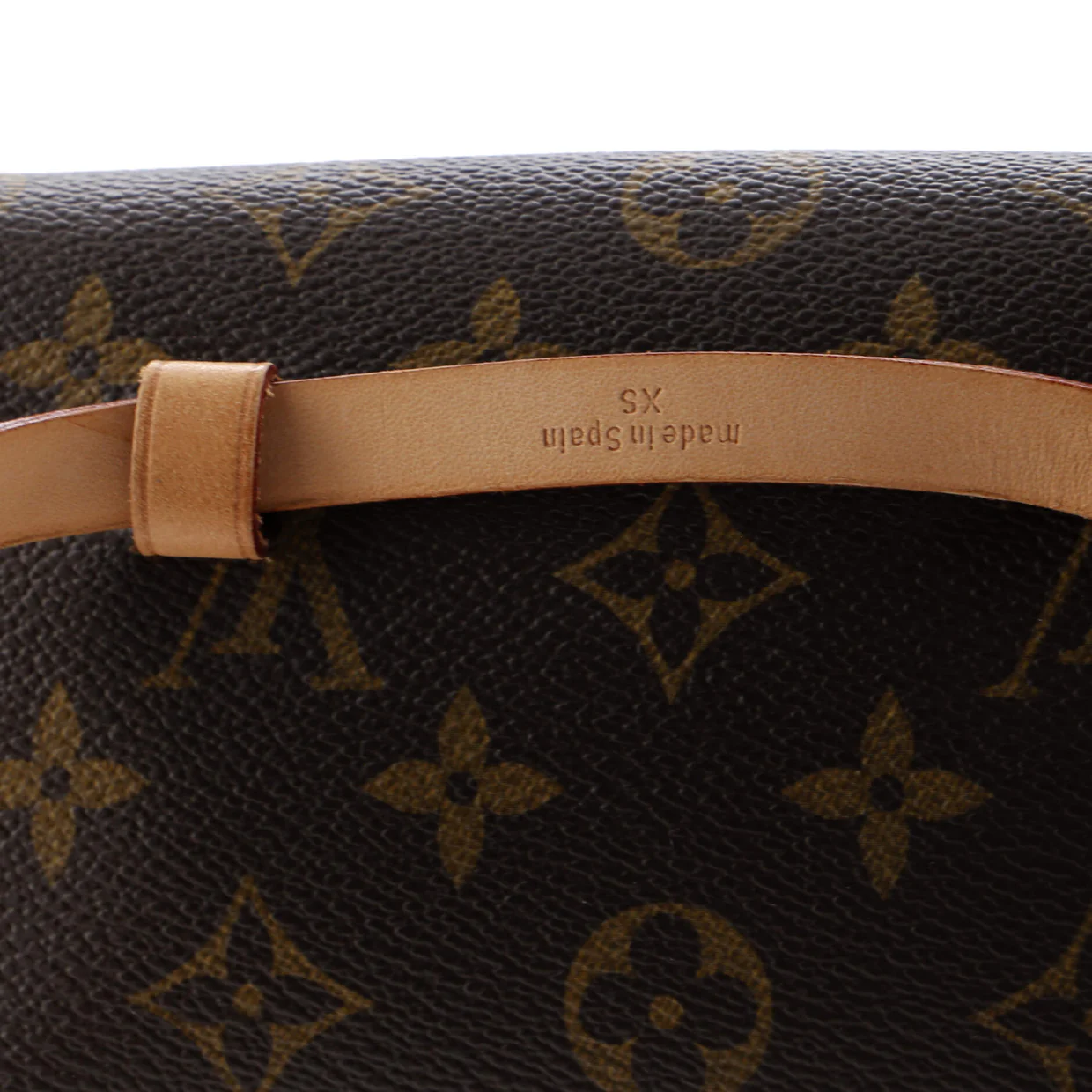 Florentine Waist Bag Monogram Canvas - Deep Luxury