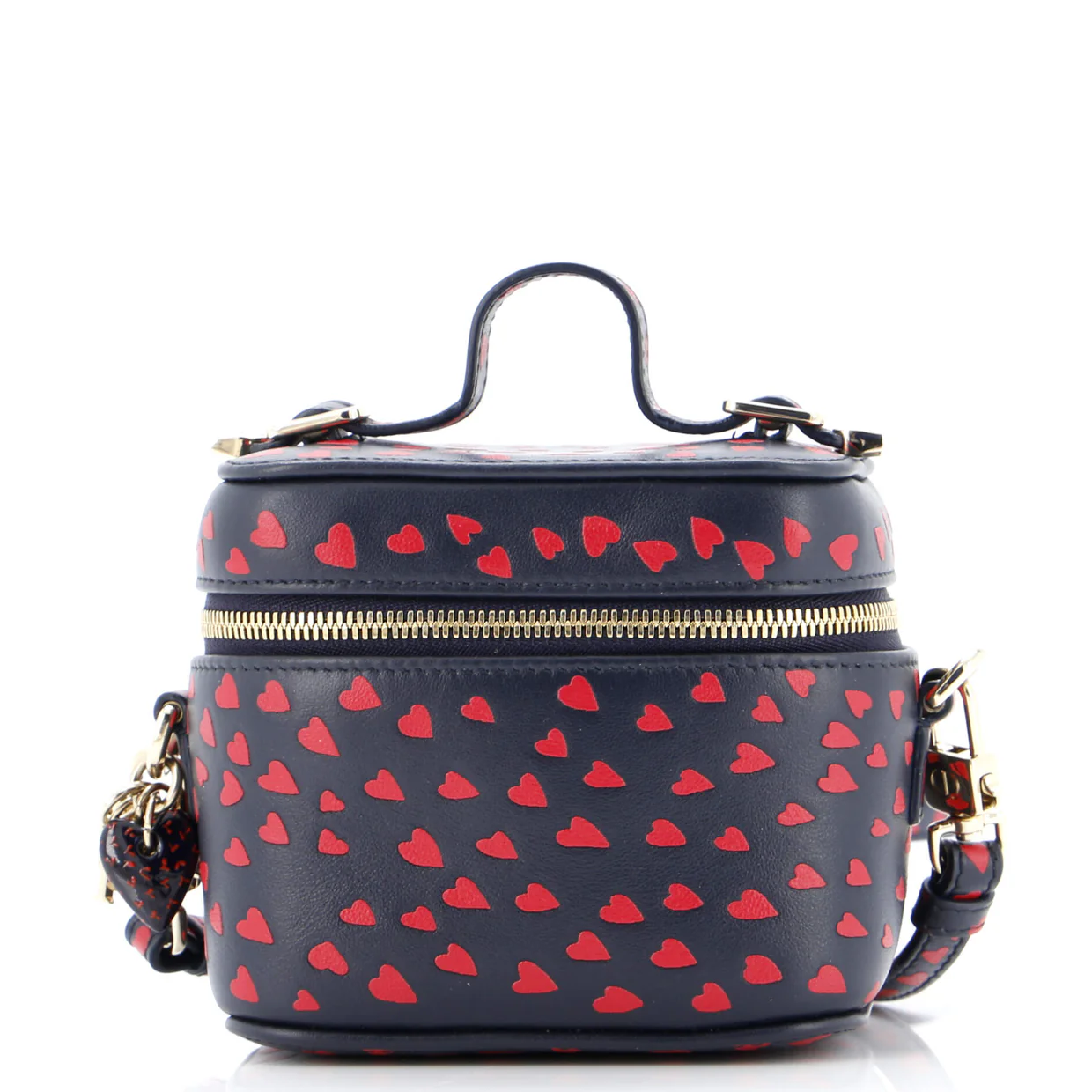 Lady Dior Vanity Case Printed Leather Micro - Deep Luxury