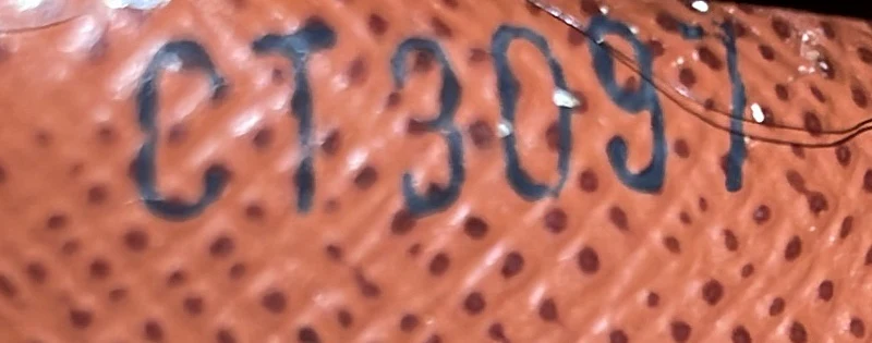 Sarah Wallet Monogram Canvas - Deep Luxury