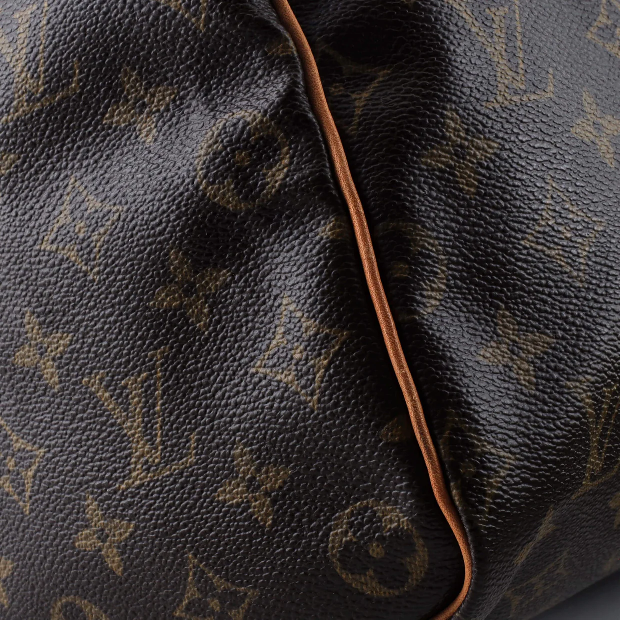 Speedy Handbag Monogram Canvas 40 - Deep Luxury