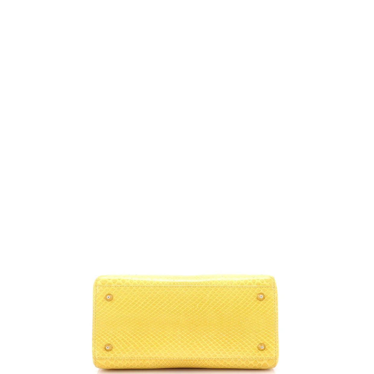 Lady Dior Bag Python Medium - Deep Luxury