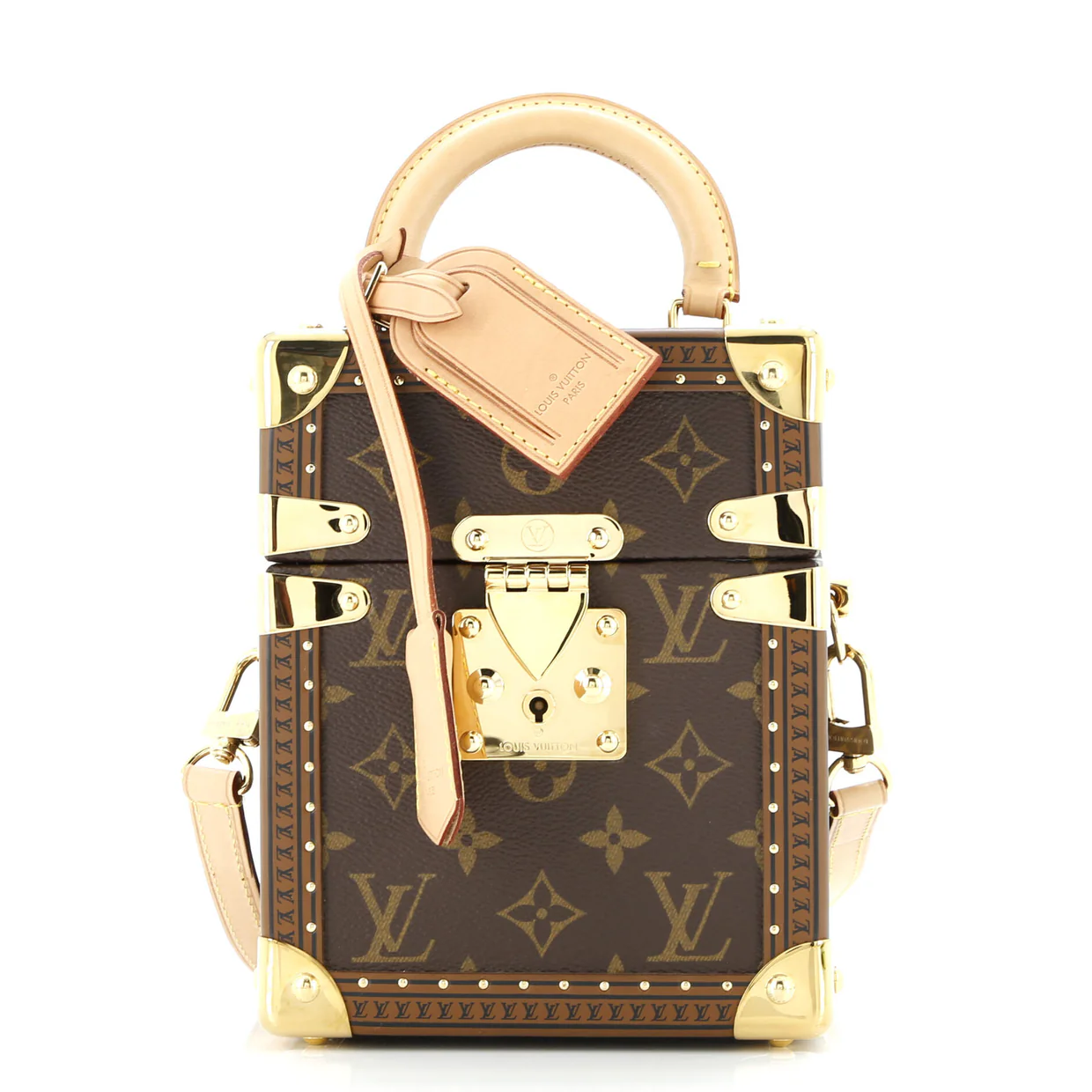 Camera Box Trunk Bag Monogram Canvas - Deep Luxury
