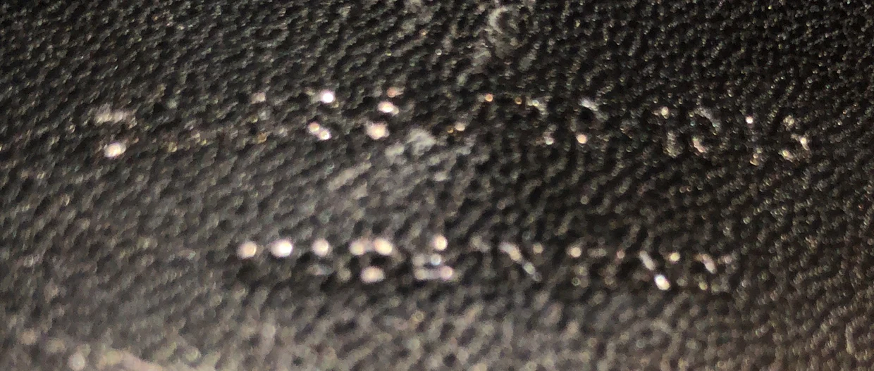 Classic Monogram Tassel Crossbody Bag Crocodile Embossed Leather Small - Deep Luxury