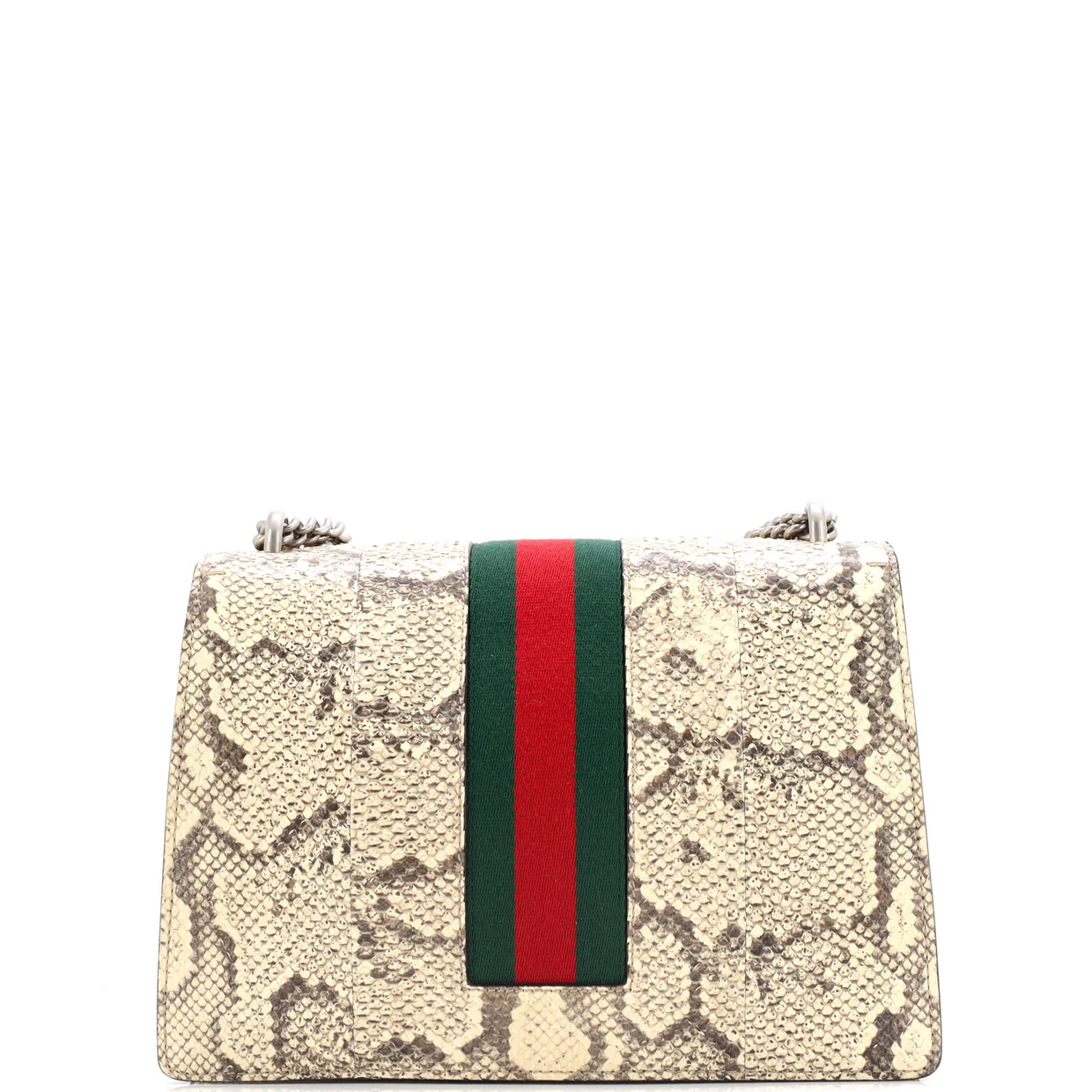 Web Dionysus Bag Python Medium - Deep Luxury