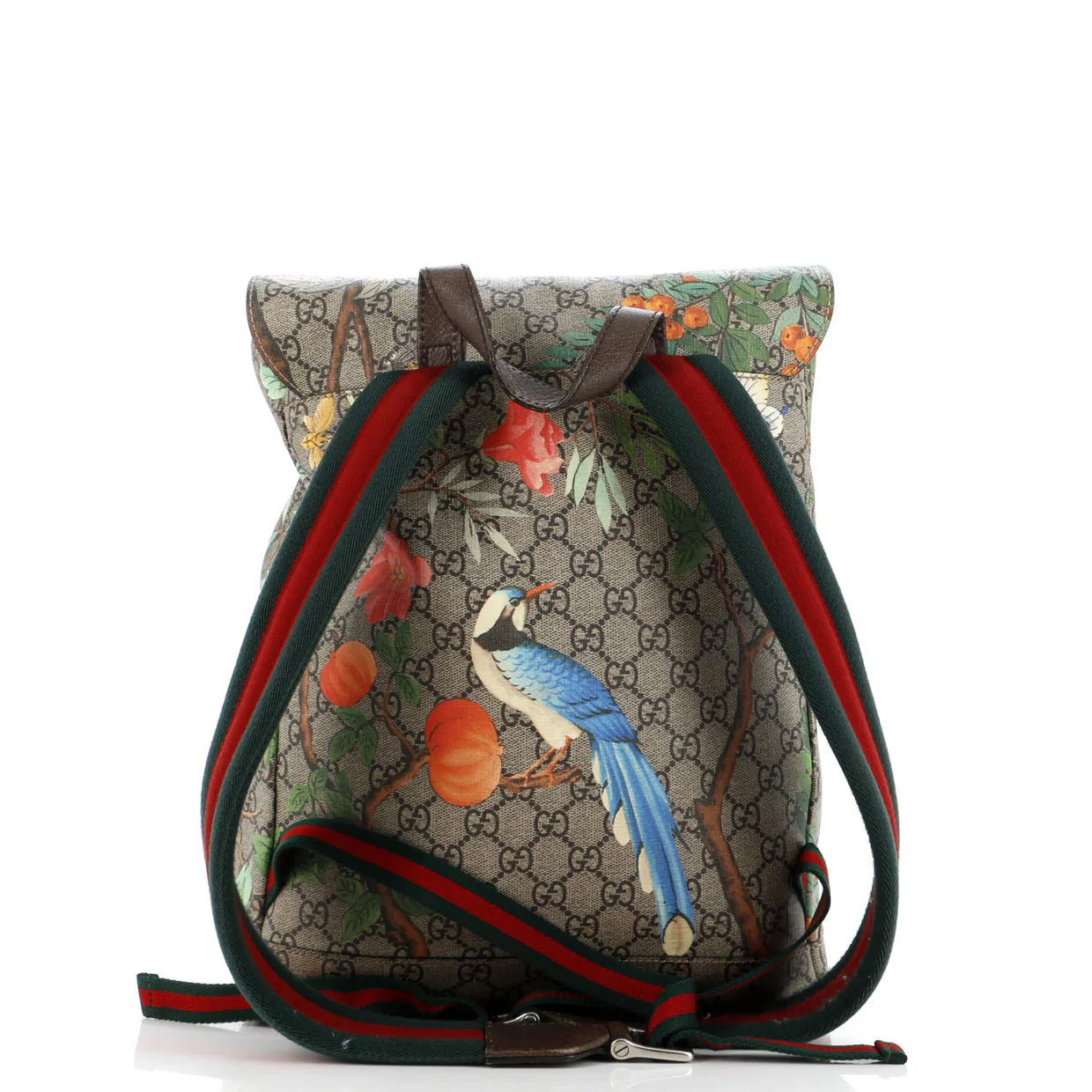 Buckle Backpack Tian Print GG Coated Canvas Medium - Deep Luxury
