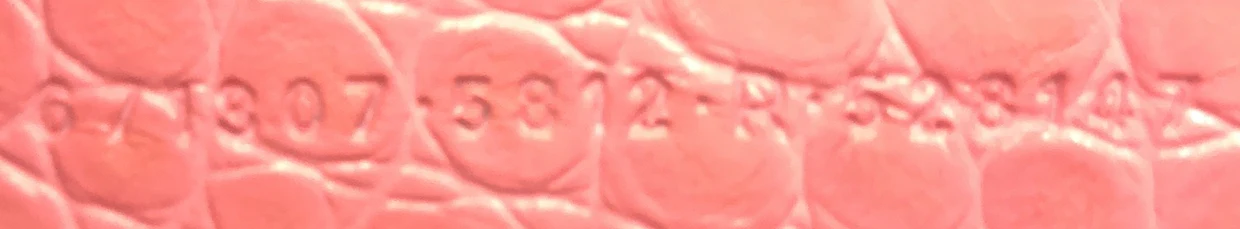 Le Cagole Giant Studs Shoulder Bag Crocodile Embossed Leather Small - Deep Luxury