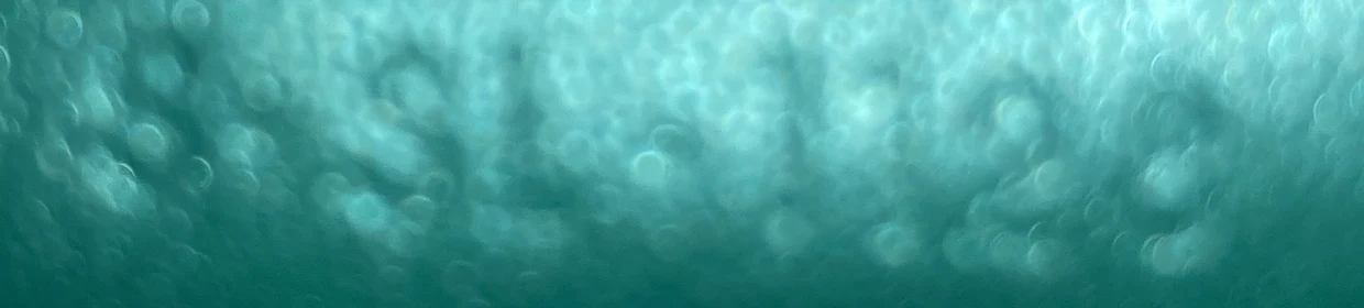 Clasp Crossbody Bag Lizard Mini - Deep Luxury