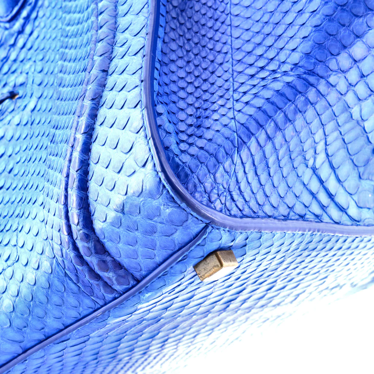 Phantom Bag Python Medium - Deep Luxury