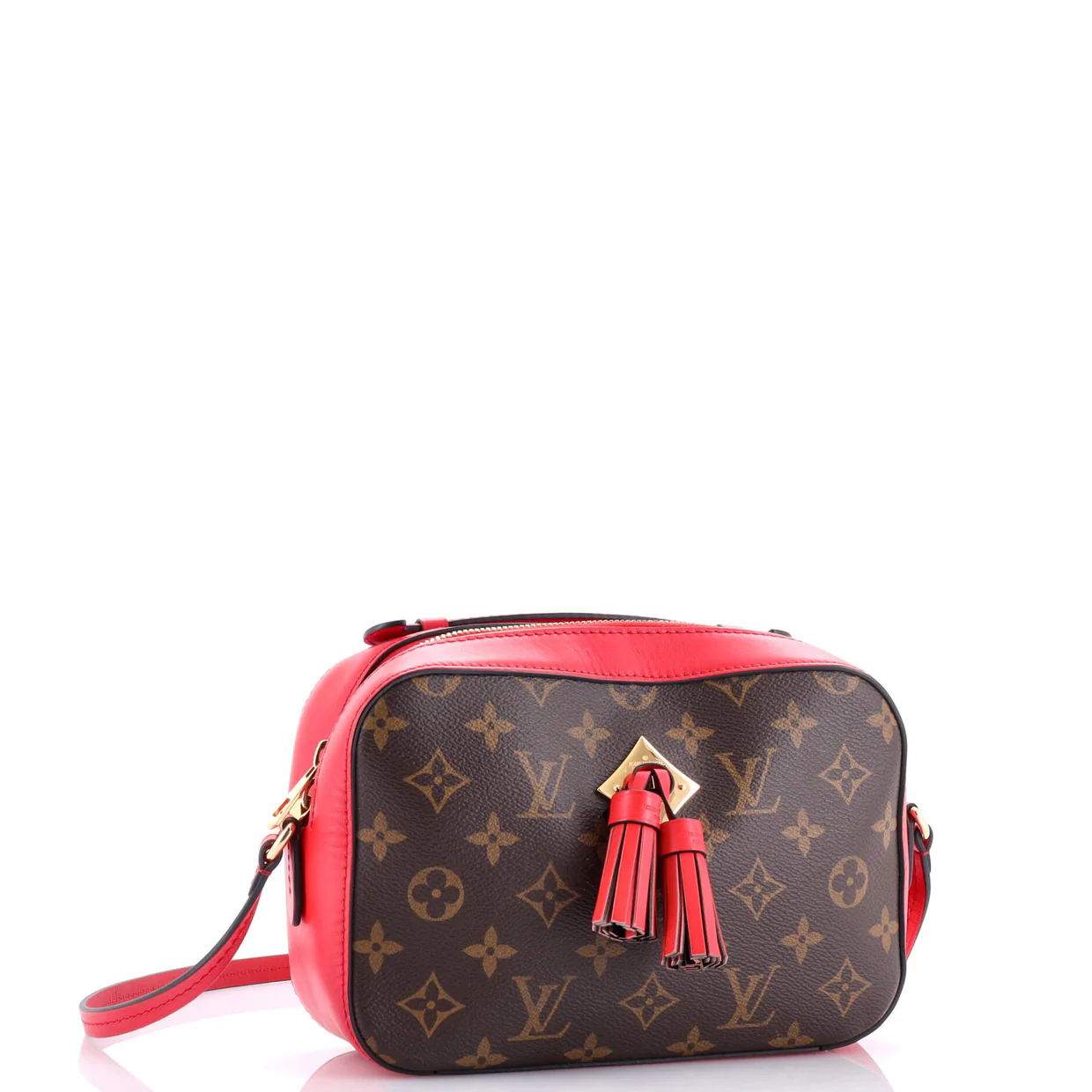 Saintonge Handbag Monogram Canvas with Leather - Deep Luxury