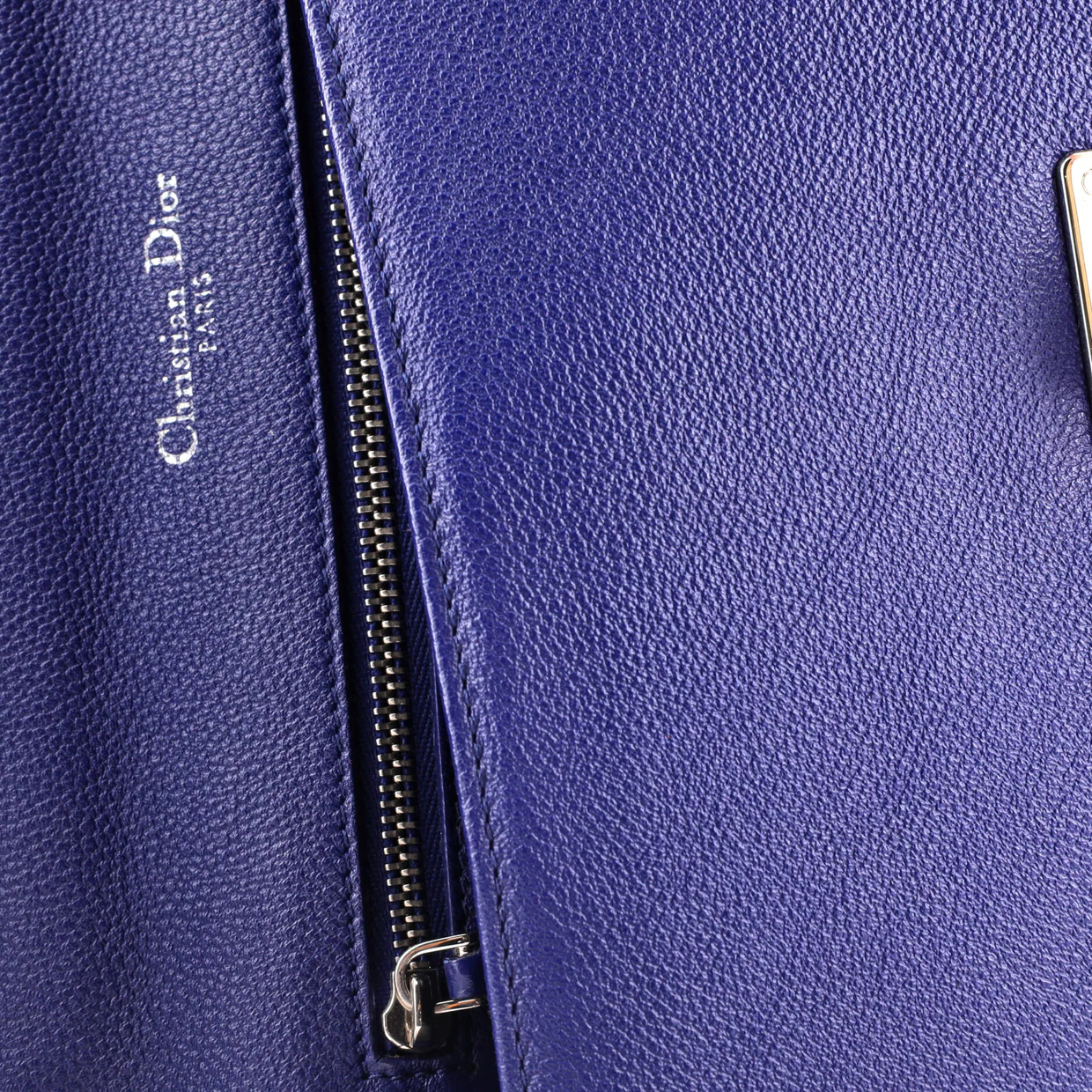 Diorama Flap Bag Grained Calfskin Medium - Deep Luxury