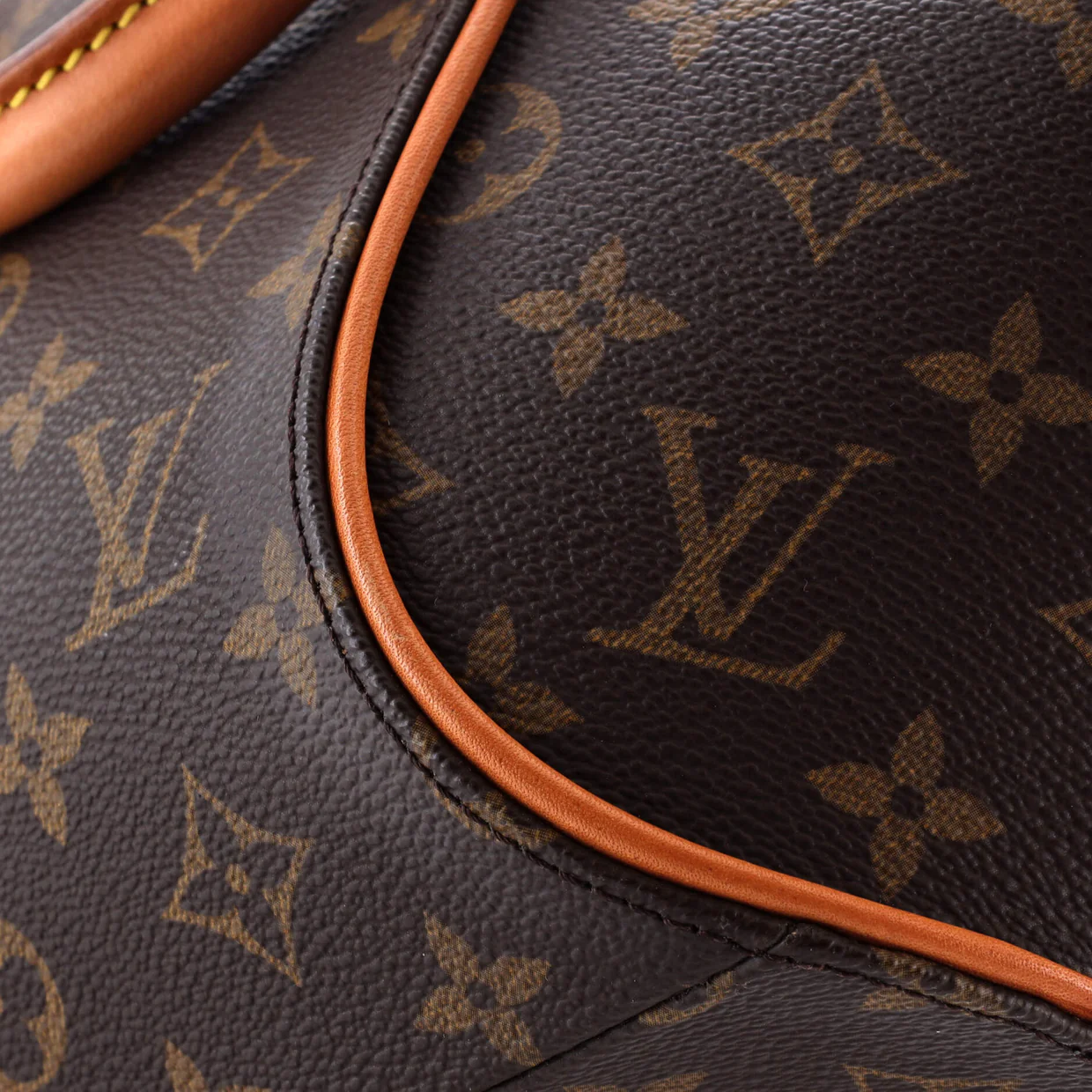 Ellipse Bag Monogram Canvas PM - Deep Luxury