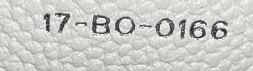 Diorama Flap Bag Grained Calfskin Small - Deep Luxury