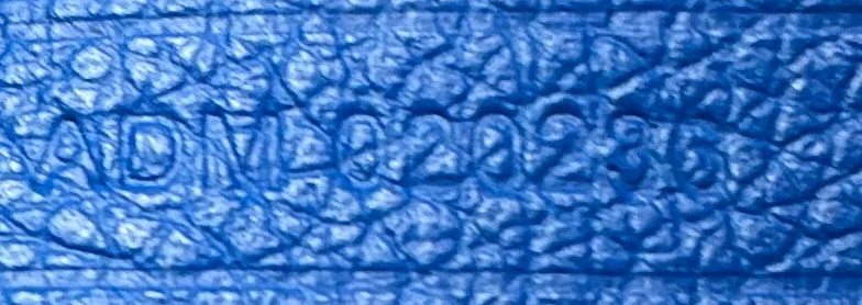 Saint Louis Tote Coated Canvas PM - Deep Luxury