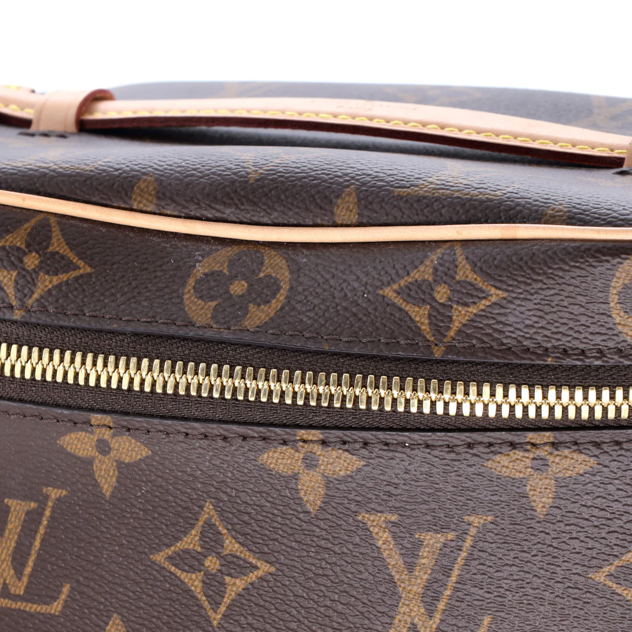 Nice Vanity Case Monogram Canvas Mini - Deep Luxury