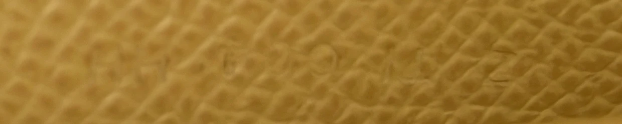 Kelly To Go Wallet Verso Epsom - Deep Luxury