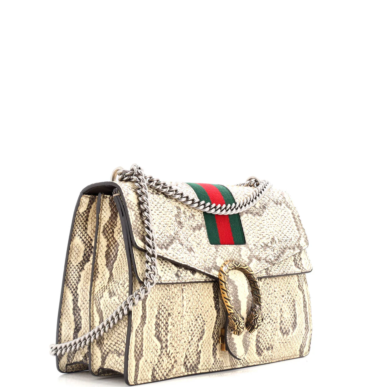 Web Dionysus Bag Python Medium - Deep Luxury
