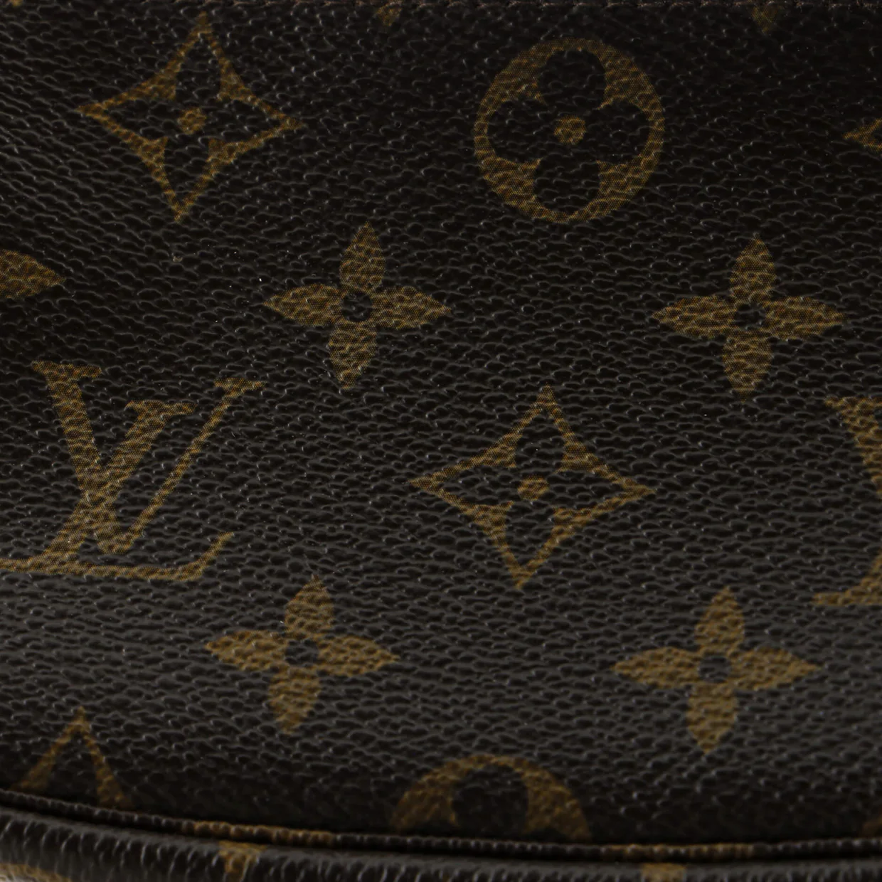 Pochette Accessoires Monogram Canvas Mini - Deep Luxury
