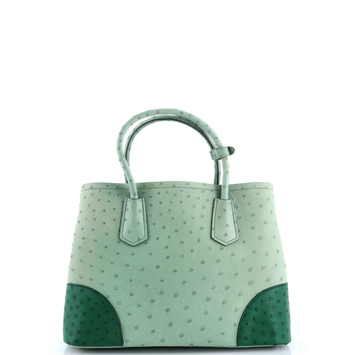 Cuir Double Tote Ostrich Medium - Deep Luxury