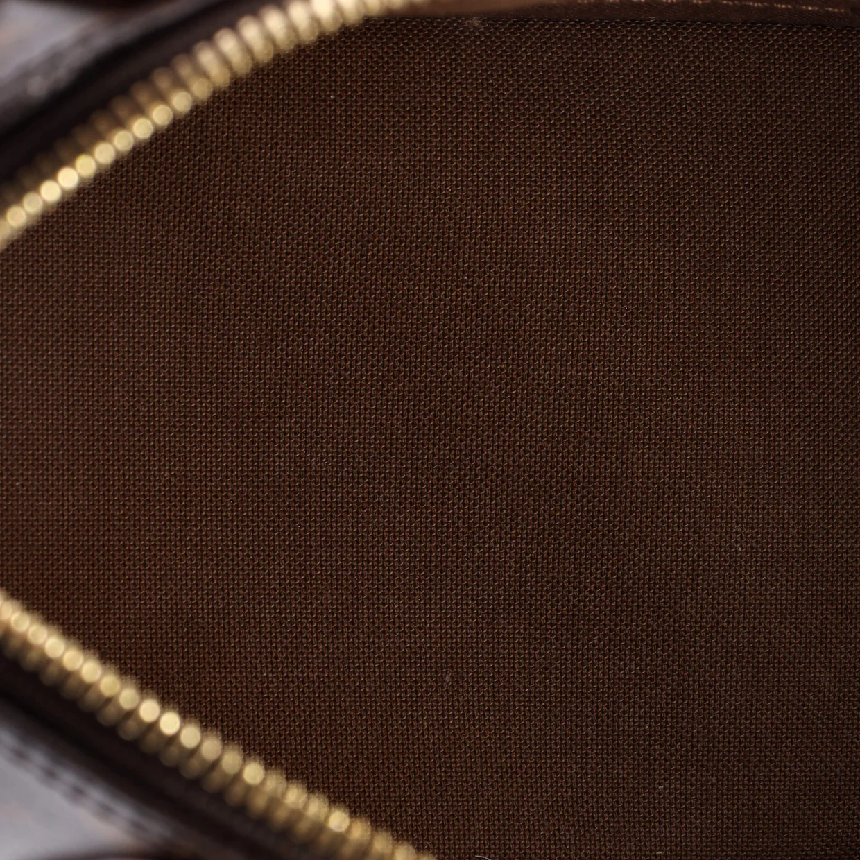 Alma Handbag Monogram Canvas BB - Deep Luxury