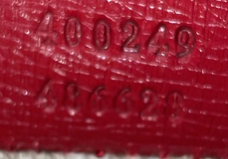 Dionysus Bag Blooms Print Leather Small - Deep Luxury