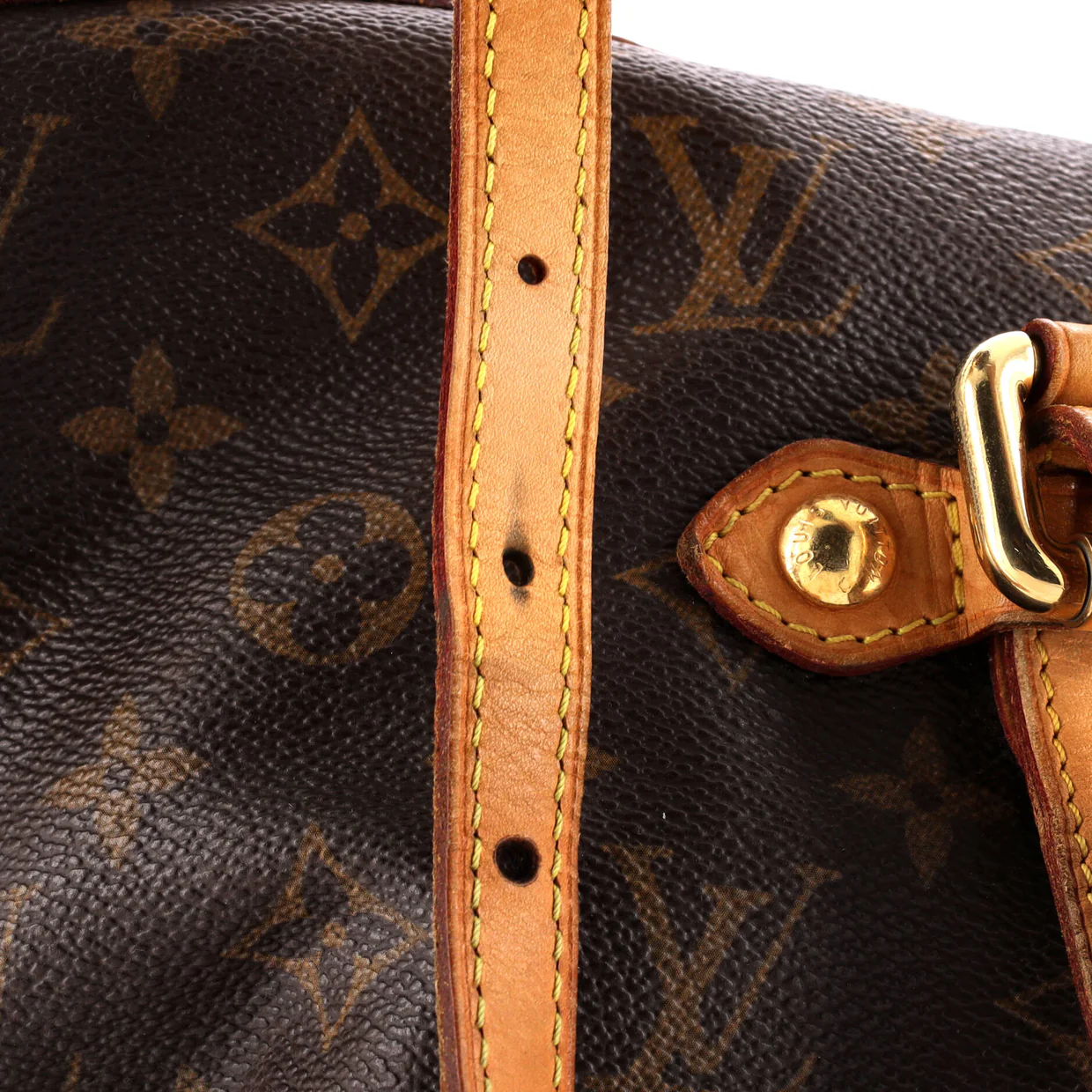 Palermo Handbag Monogram Canvas GM - Deep Luxury