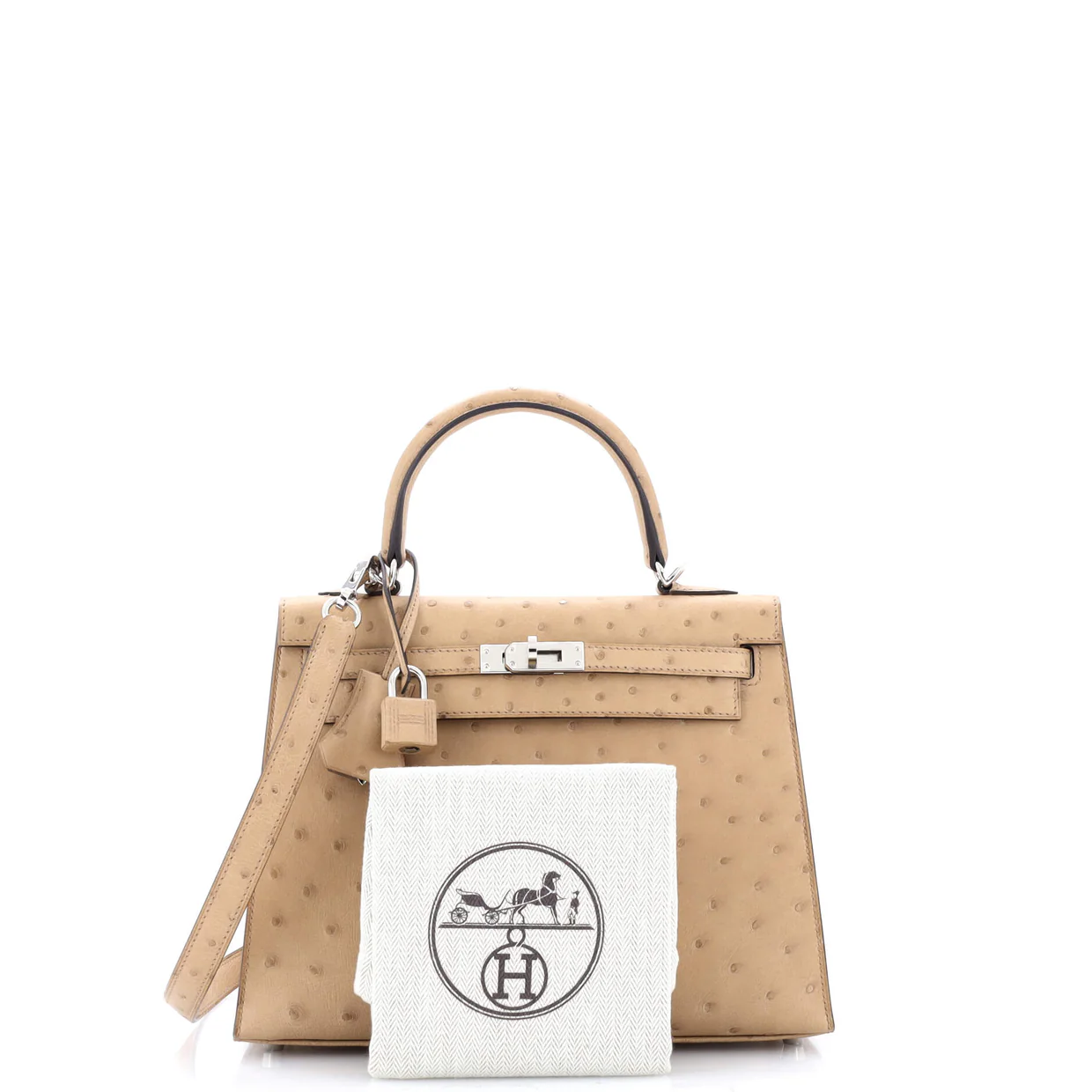 Kelly Handbag Brown Ostrich with Palladium Hardware 25 - Deep Luxury