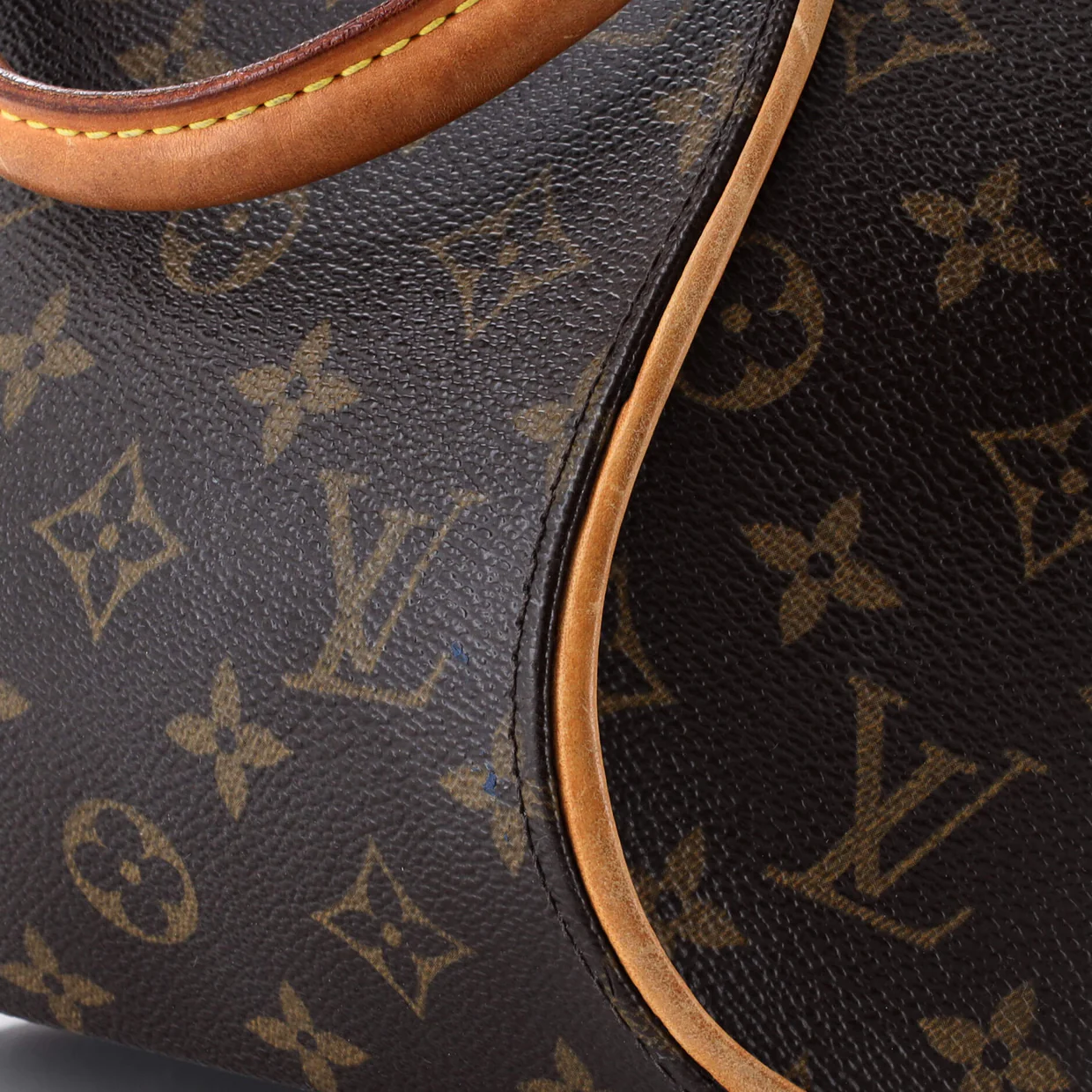 Ellipse Bag Monogram Canvas PM - Deep Luxury