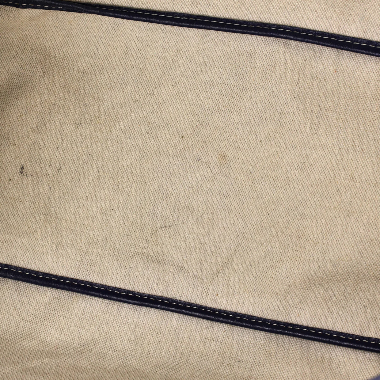 Saint Louis Tote Coated Canvas PM - Deep Luxury