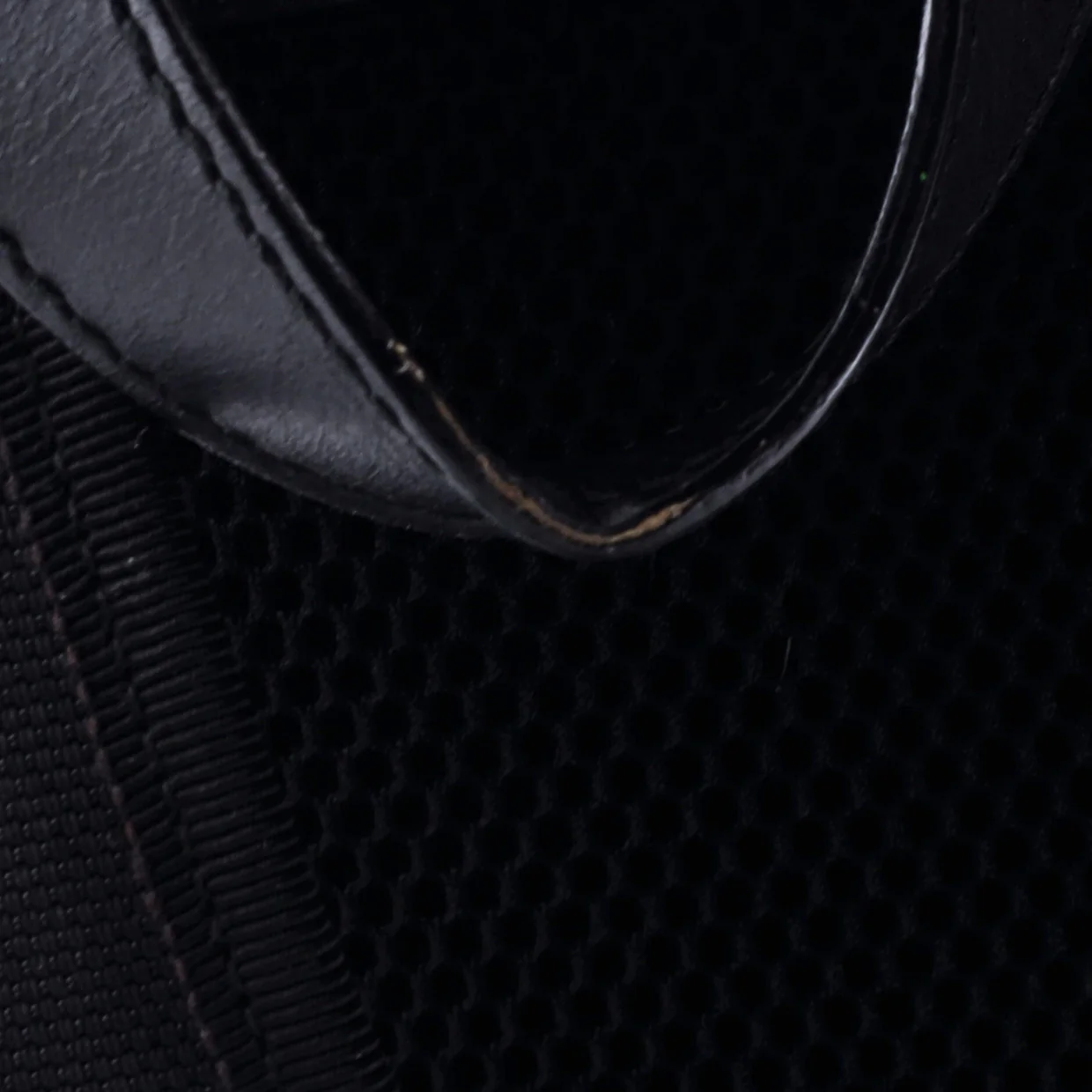 Web Backpack GG Coated Canvas Medium - Deep Luxury